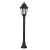 MIZAR ANNA BLACK   FUMAGALLI